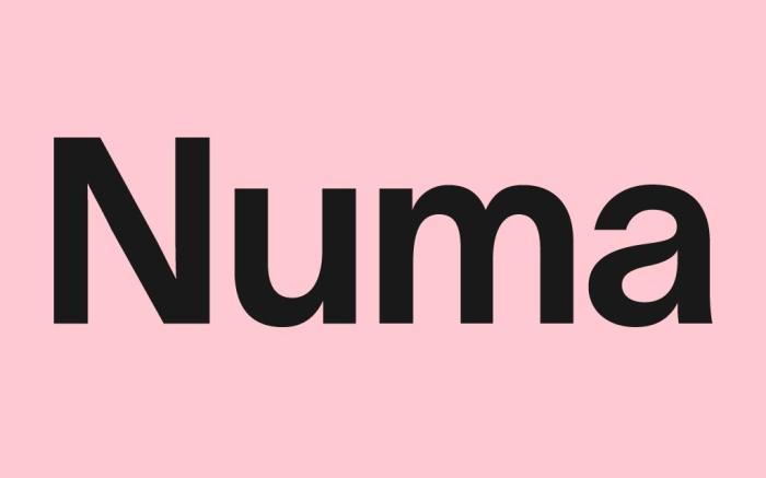 Numa Rome Vici