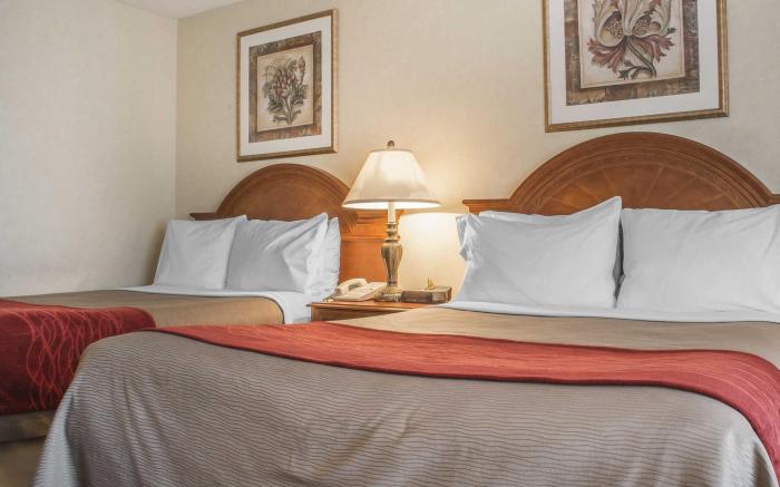 Comfort Inn Fallsview