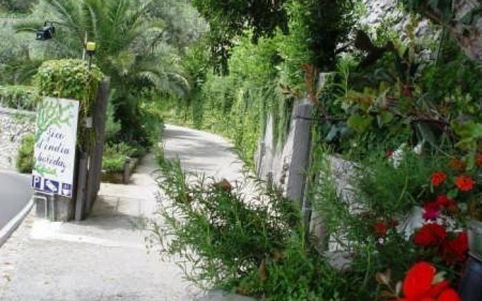 Holidays Fico D'India Guest House