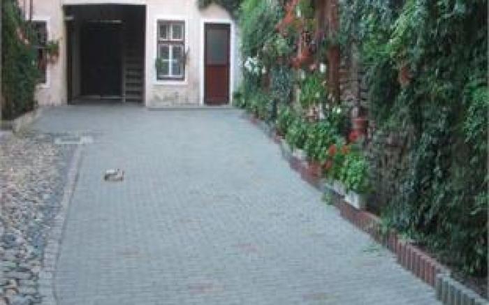 Guesthouse Casa Baciu