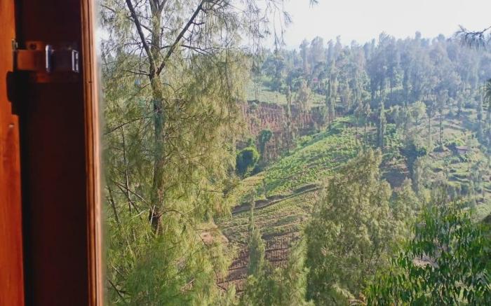 Villa RICKY  2 Gunung Bromo 