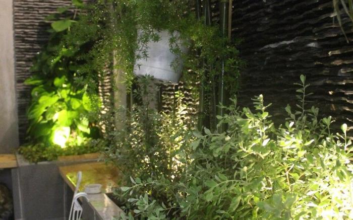 D's Alley Eco Homestay Room 5