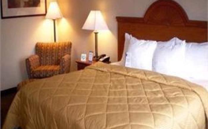 Comfort Inn Williamsport