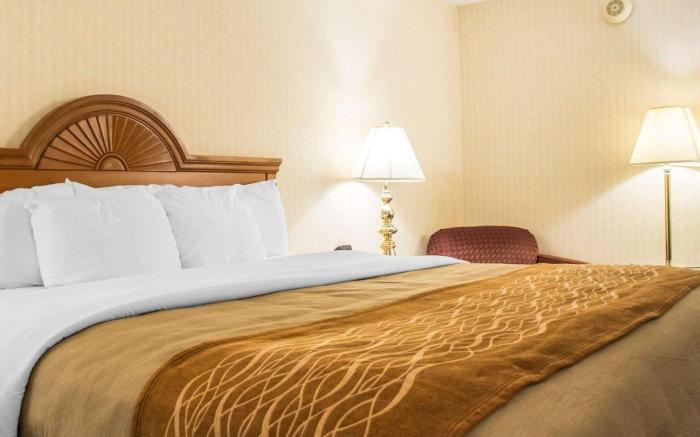 Comfort Inn Binghamton I-81