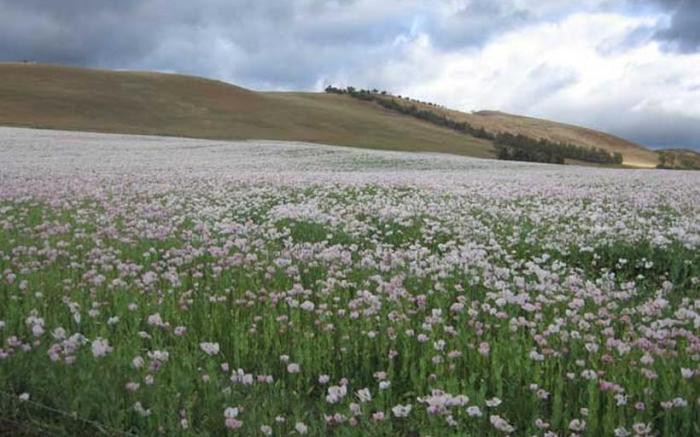 Curringa Farm Accommodation