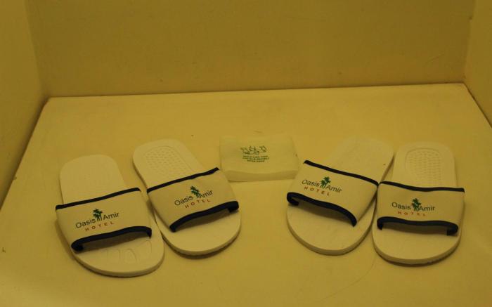 Oasis Amir Hotel
