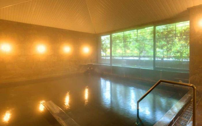 Forest Resort Yunosato Sugina