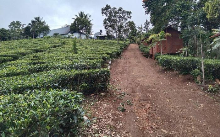 Eaglerock Holiday Villas 