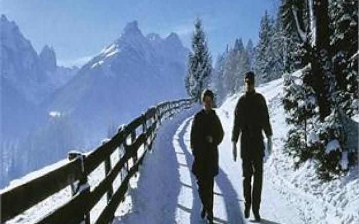 Hotel Gasthof Handl