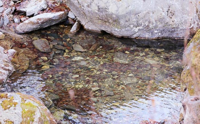 Gapyeong Bung Bung Pension