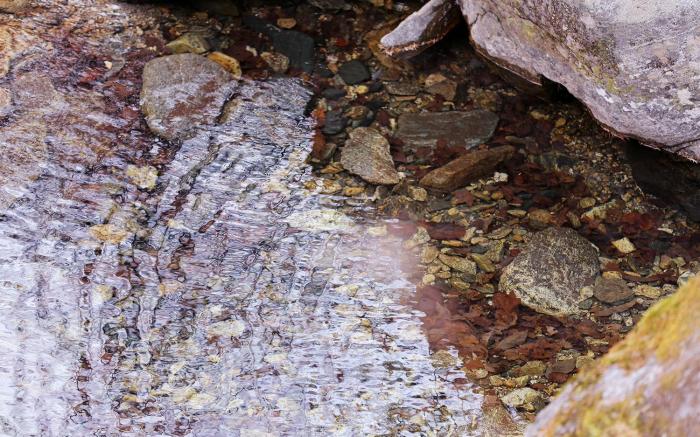 Gapyeong Bung Bung Pension