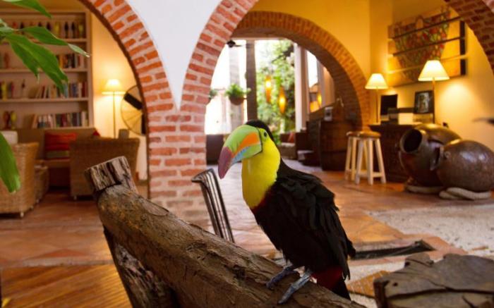 Hotel Bantu by Faranda Boutique, a member of Radisson Individuals