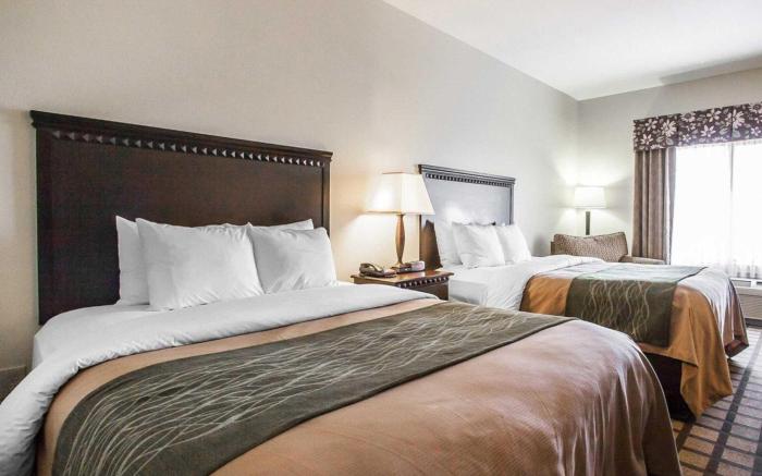 Comfort Inn & Suites Montgomery Eastchase