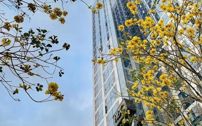 Shenzhen Zhenxin Luxury Apartment