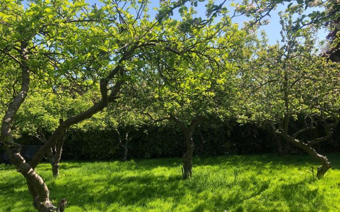 Endsleigh Park