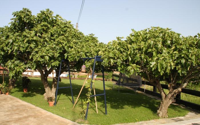 La Casuca de Mamina 
