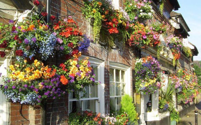 The Castle Inn Hotel