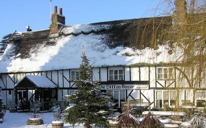 The Willow House