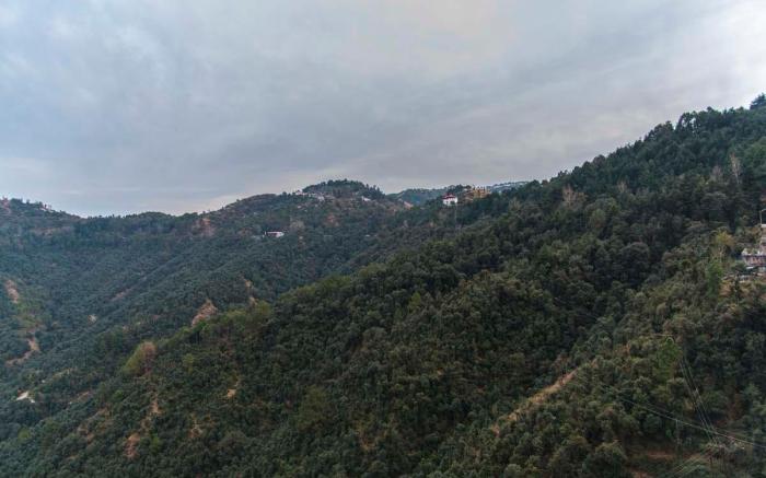 Regenta Resort MARS Valley View Shoghi - Shimla