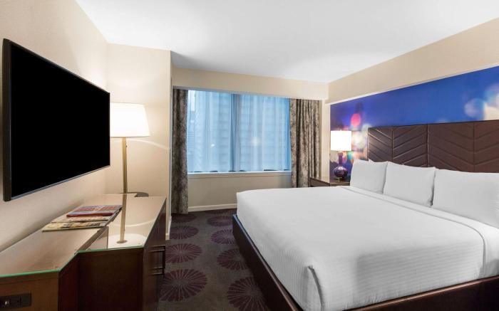 The Chicago Hotel Collection Magnificent Mile