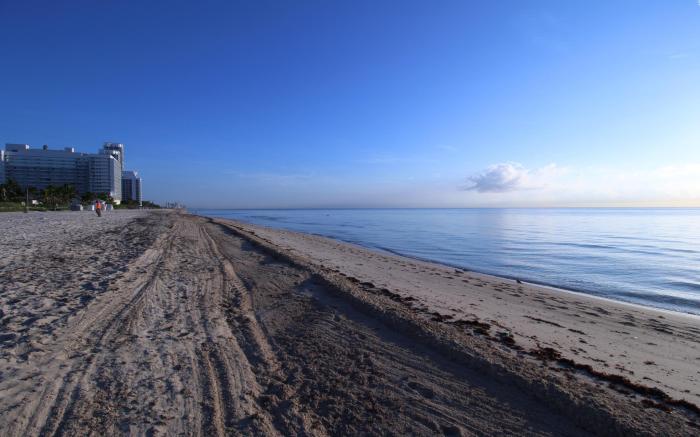 Beach Front Studio