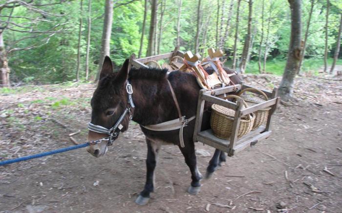Les cabanes de Labrousse