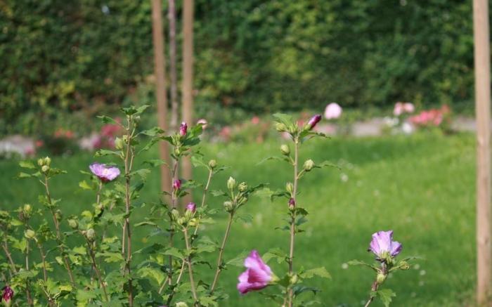 Ferienwohnung am Kurpark