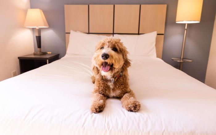 Sonesta Simply Suites Irvine East Foothill
