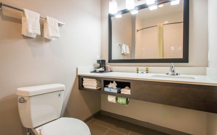 Executive Inn- Fort Worth West