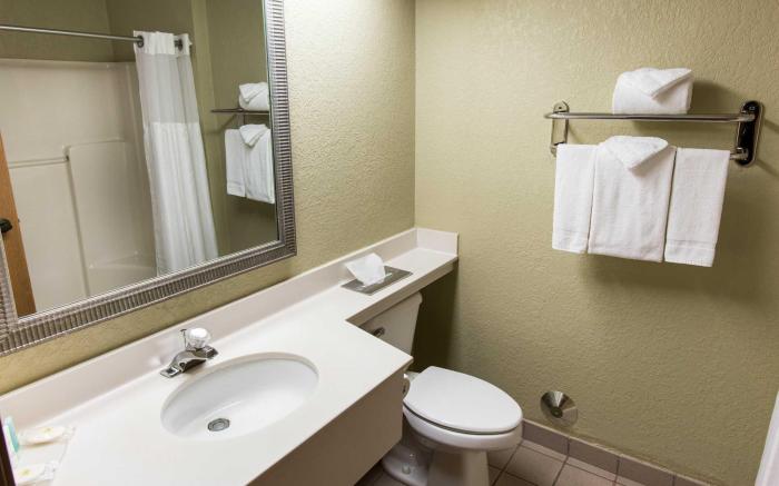 Comfort Inn Okemos - East Lansing