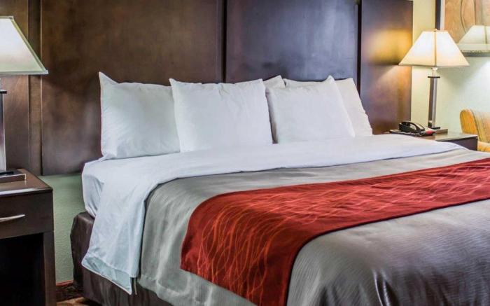 Quality Inn Raleigh Downtown