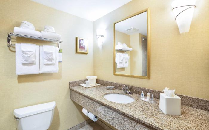 Comfort Suites Goodyear-West Phoenix
