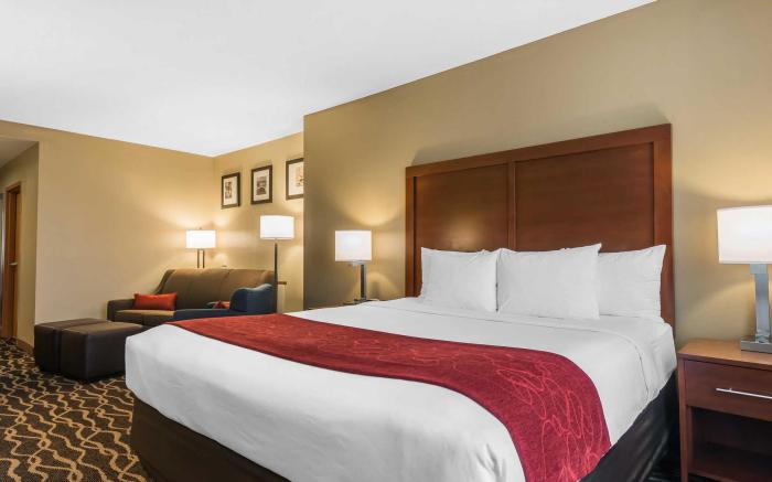 Comfort Suites Tampa Airport North