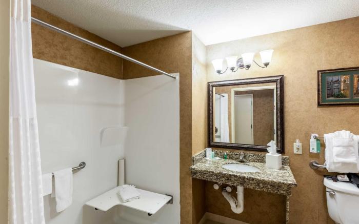 Comfort Suites Alamo/River walk