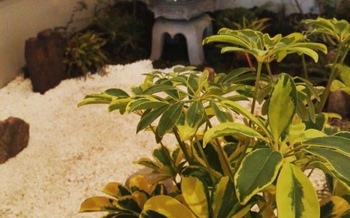 Nara Deer Hostel - Foreigners Only