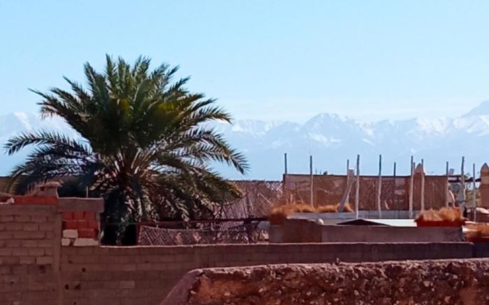 Riad Heklek