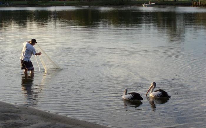 Maroochy River Resort & Bungalows