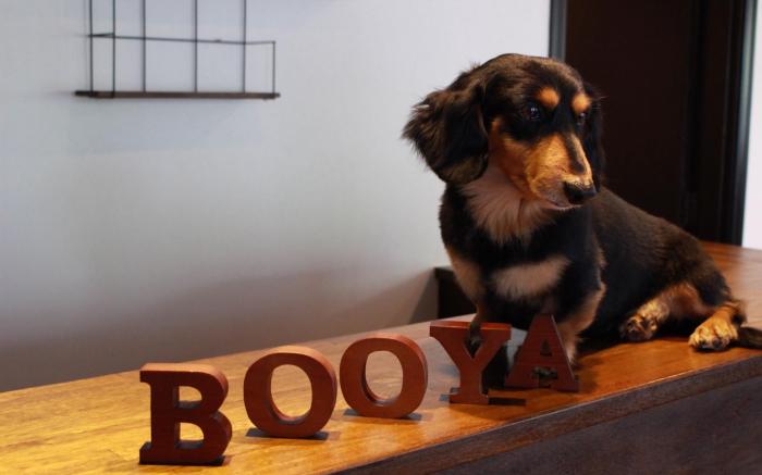 Tropical Lodge Booya