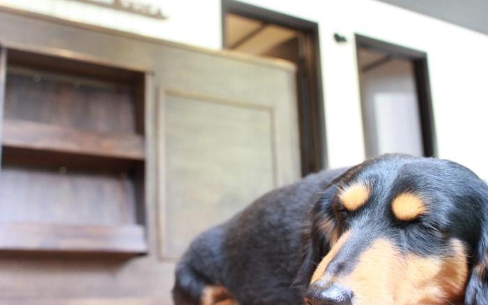 Tropical Lodge Booya