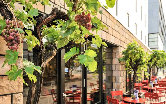 Ibis Rotterdam City Centre