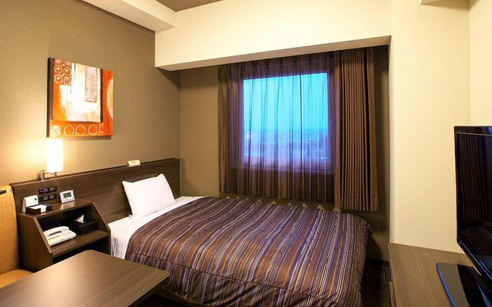Hotel Route Inn Yanagawa Ekimae