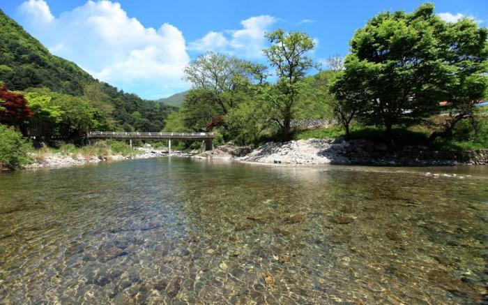 Youngchu morning pension