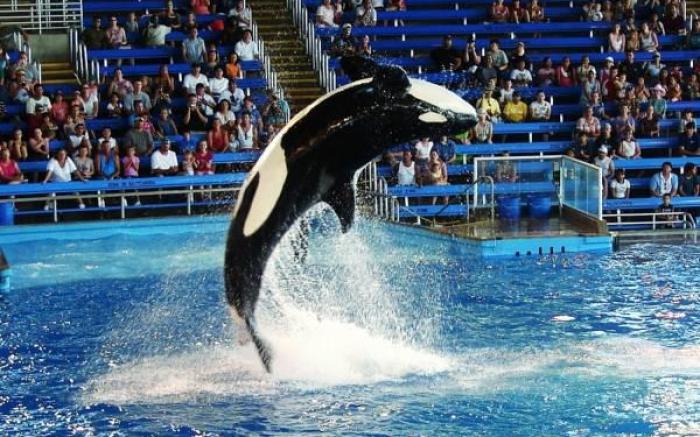 Hill Country Inn & Suites - New Braunfels, Gruene