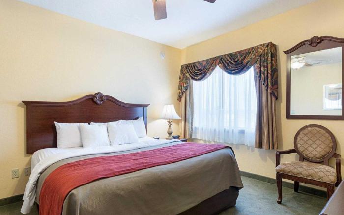 Comfort Inn Early Brownwood