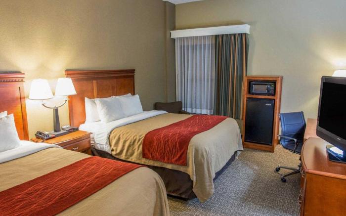 Comfort Inn Opelika - Auburn