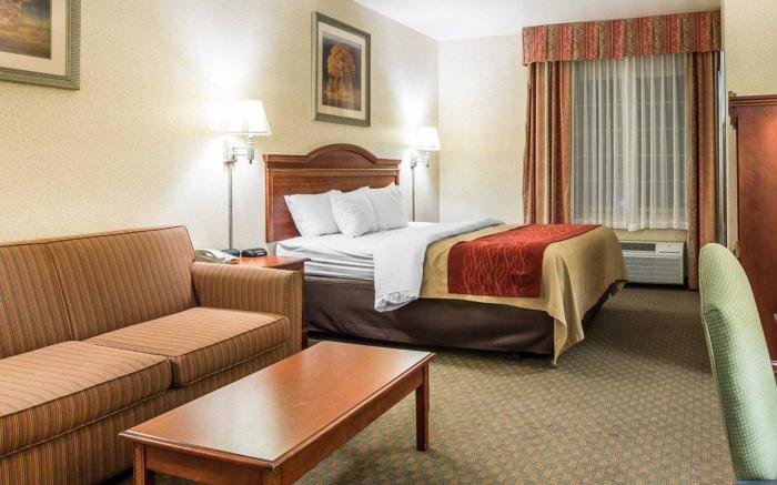 Comfort Inn & Suites Galt - Lodi North