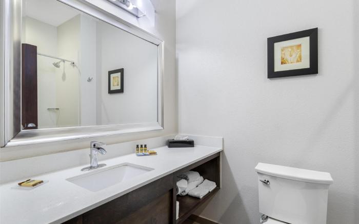 Best Western Plus Waller Hotel