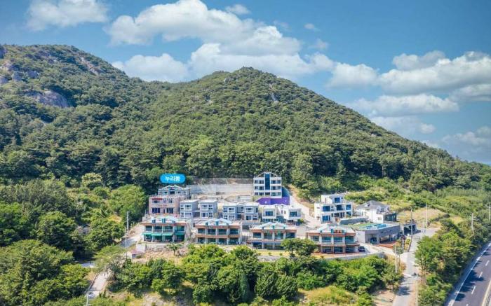 Nuri (Blue Road Town Pension