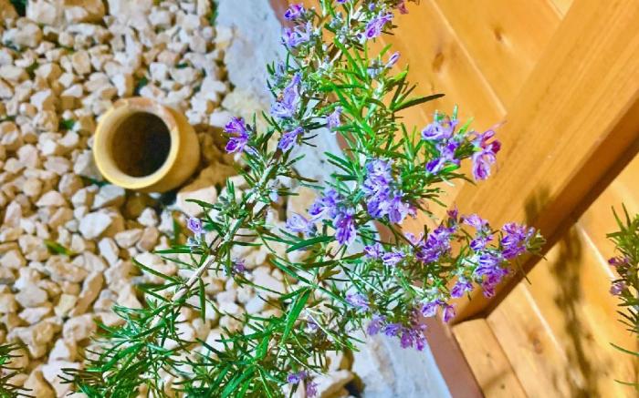 Sole Mare E Relax for dream holidays