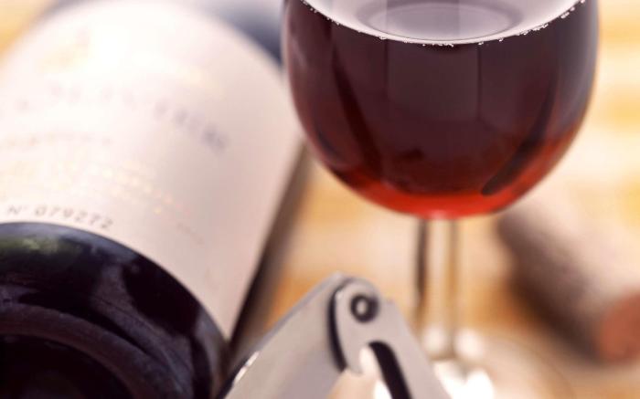 ibis Belfort Danjoutin